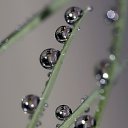 ���� �����, ������, 26 ��� - ��������� 11 �������� 2010 � ������ �����