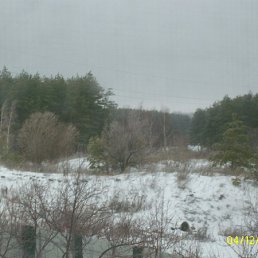 ���� �������, ����, 40 ��� - ��������� 5 ������� 2012