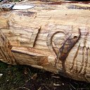  , , 51  -  14  2011     2007