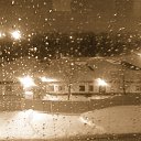 ���� �����, ����, 38 ��� - ��������� 6 ������ 2010 � ������ ���� ������� ����������