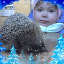 ���� C����, �������, 41 ��� - ��������� 2 ������� 2010