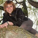 ���� �������, �����, 44 ���� - ��������� 15 ���� 2013 � ������ ���� ����������