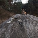  , , 41  -  15  2010   ~ ~ ~