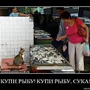 ���� ��������, �����, 44 ���� - ��������� 17 ������� 2012 � ������ �������