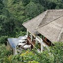 ���� �����, ������, 39 ��� - ��������� 10 ������ 2013 � ������ ���� ����������