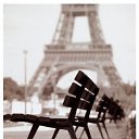  , , 38  -  11  2011   Paris. Mon amour.