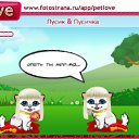   , , 60  -  24  2010   PetLove