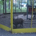 ���� ������ ������, ��������, 54 ���� - ��������� 7 ���� 2013 � ������ ���� ����������