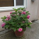 ���� ������, ������ ���, 49 ��� - ��������� 13 ���� 2013 � ������ ���� ����������