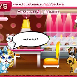 ���� ����� �����, ������, 27 ��� - ��������� 11 ������� 2010