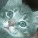 ���� ���, �����, 58 ��� - ��������� 22 ������� 2011 � ������ ���� ����������