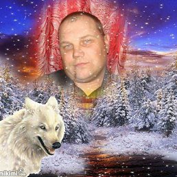 ���� Dzintars, �����-���������, 55 ��� - ��������� 1 ���� 2013