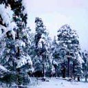 ���� ���������, ���������� - ��������� 10 ������ 2010 � ������ �*** ������� ***�