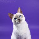 ���� Len7315, ����, 43 ���� - ��������� 16 ����� 2010 � ������ ������ �����