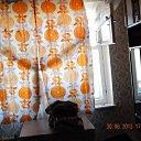  Leonid, , 45  -  3  2013    