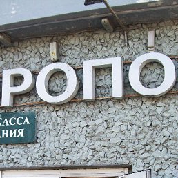 ���� Frederick Perry, �����-���������, 37 ��� - ��������� 8 ���� 2010