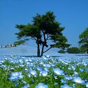 ���� ���������, ����, 31 ��� - ��������� 13 ������� 2012 � ������ �������