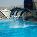 ���� Bonbon, ��������, 57 ��� - ��������� 12 ������� 2011 � ������ ���� ����������