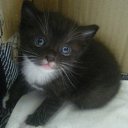 ���� Natalya, ��������, 56 ��� - ��������� 11 ������� 2011 � ������ ����� ����, ���� � &amp;�