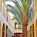 ���� ������, ������ - ��������� 20 ���� 2012 � ������ �������