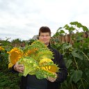 ���� �����, �����, 49 ��� - ��������� 10 ������ 2012