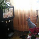 ���� Olga, �����, 56 ��� - ��������� 13 ������� 2011 � ������ ���� ����������