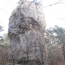   (), , 55  -  11  2012   
