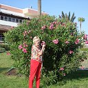 ���� �������, ������, 76 ��� - ��������� 2 ���� 2013 � ������ ���� ����������