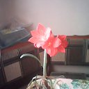 ��� �������� ��������!