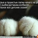 ���� Juju, �����-���������, 43 ���� - ��������� 13 ������ 2010 � ������ ������ �����