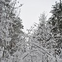 ���� ������, ��������� - ��������� 31 ������ 2010 � ������ �������� �������