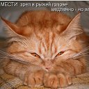 ���� �����, ������, 26 ��� - ��������� 25 ���� 2010 � ������ ���������