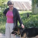 ���� �����, �����-���������, 62 ���� - ��������� 11 �������� 2011