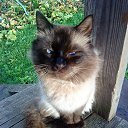 ���� ������, ������� ����, 22 ���� - ��������� 25 ���� 2013 � ������ �������� ������ � ���������� ��� ������������ ����������