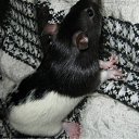 ���� �������, �����-��������� - ��������� 6 ������ 2012 � ������ �������� ������