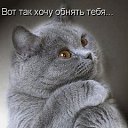 ���� �����, ������ ��������, 48 ��� - ��������� 7 ������� 2011 � ������ �����