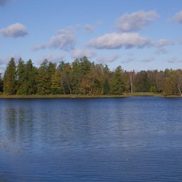 ���� �����, �����-���������, 37 ��� - ��������� 26 ������ 2009