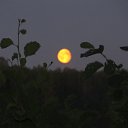 ���� �����, ������, 49 ��� - ��������� 12 ������� 2012 � ������ ������Ż