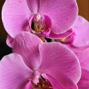 ���� �����, �����, 60 ��� - ��������� 21 ��� 2012 � ������ ������ �����