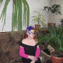 ���� �����, �����������-��-�����, 50 ��� - ��������� 3 ������ 2013 � ������ �������