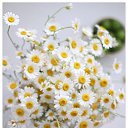  Back To Real Life, , 57  -  1  2012    