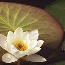 ���� ����. ��������� �� ��!, ������, 72 ���� - ��������� 15 ������ 2012 � ������ ���������