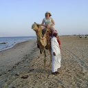 ���� ������, �����, 64 ���� - ��������� 27 ����� 2012 � ������ ���� ����������