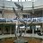 ���� ������, ��������, 35 ��� - ��������� 26 ��� 2012