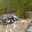 ���� ����, �����������, 51 ��� - ��������� 8 ������� 2012 � ������ ���� ����������