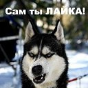 ���� ������, �����-���������, 38 ��� - ��������� 11 �������� 2012 � ������ �������