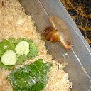 ���� Imp, ������� - ��������� 13 �������� 2011 � ������ �����