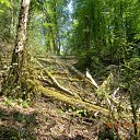 ���� �������, ����, 46 ��� - ��������� 1 ��� 2012 � ������ ����������� �������-�.����-�������� �������