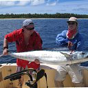 ���� ������, ����, 53 ���� - ��������� 10 �������� 2010 � ������ ���� ����������