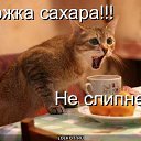 ���� �����, �������, 56 ��� - ��������� 10 ���� 2011 � ������ �����